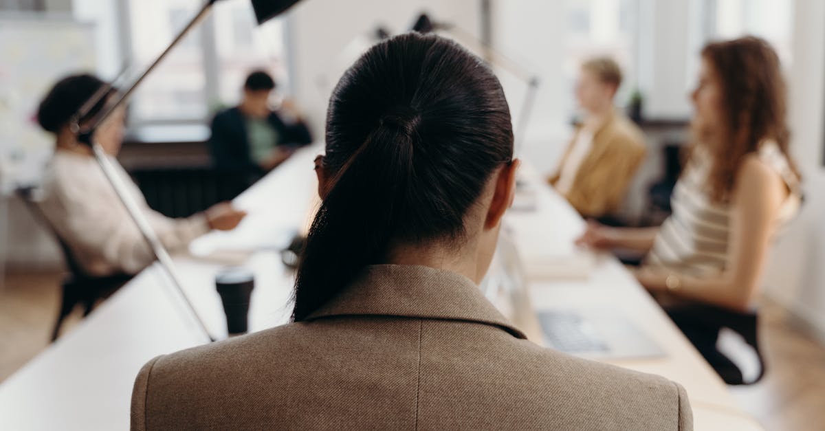 DDOS攻击器|丽江猫咪购买平台